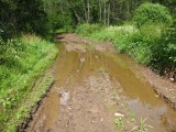 Лужица. Полметра воды и метр грязи в глубину