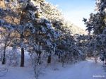 Красота надподземелья.
