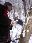 Скамп с режущим карандашом.